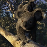 alessandro-mastronardi-koalas-vue